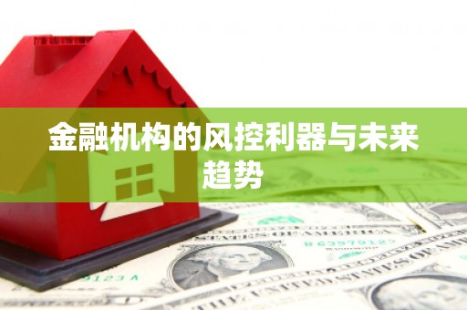 金塘金融机构的风控利器与未来趋势