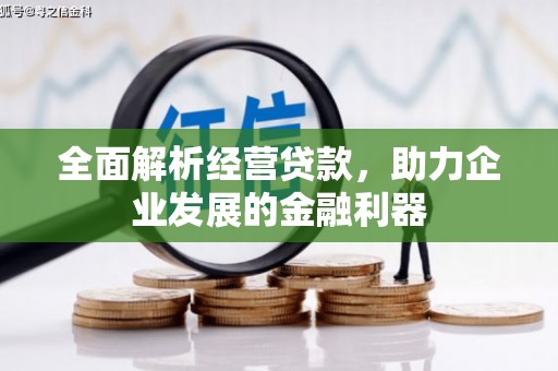 金塘全面解析经营贷款，助力企业发展的金融利器