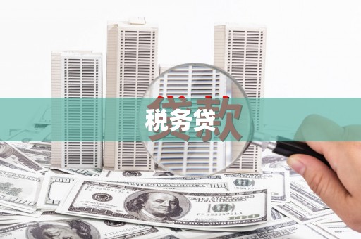 金塘税务贷