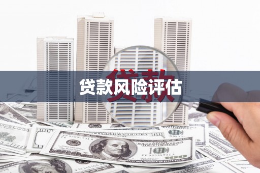 金塘贷款风险评估