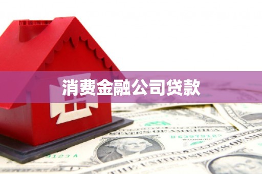 金塘消费金融公司贷款