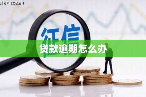 金塘贷款逾期怎么办