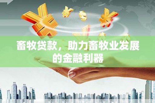 金塘畜牧贷款，助力畜牧业发展的金融利器