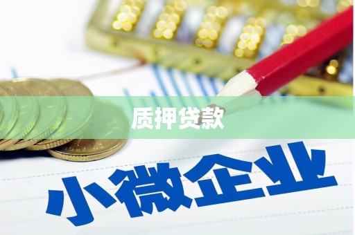金塘质押贷款
