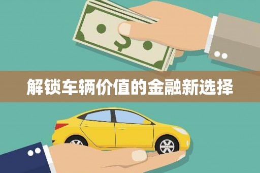 金塘解锁车辆价值的金融新选择