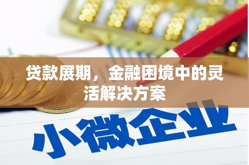 金塘贷款展期，金融困境中的灵活解决方案
