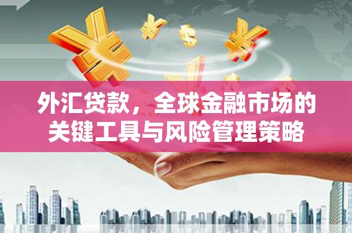 金塘外汇贷款，全球金融市场的关键工具与风险管理策略