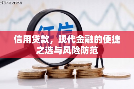 金塘信用贷款，现代金融的便捷之选与风险防范