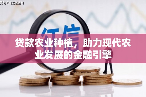 金塘贷款农业种植，助力现代农业发展的金融引擎