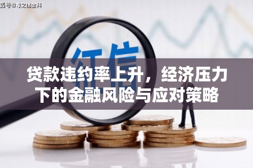 金塘贷款违约率上升，经济压力下的金融风险与应对策略