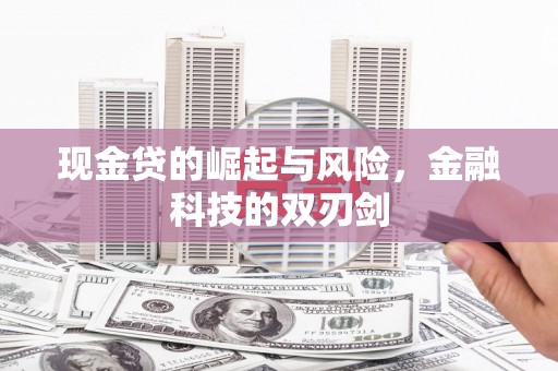 金塘现金贷的崛起与风险，金融科技的双刃剑