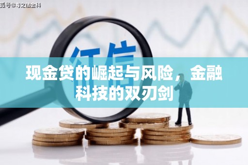 金塘现金贷的崛起与风险，金融科技的双刃剑