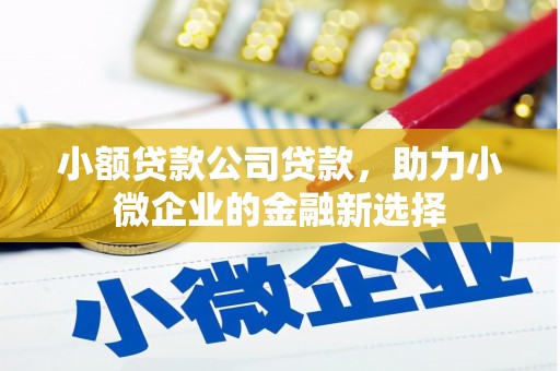 金塘小额贷款公司贷款，助力小微企业的金融新选择