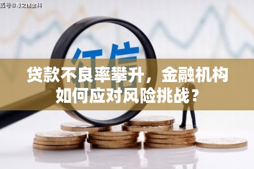 金塘贷款不良率攀升，金融机构如何应对风险挑战？
