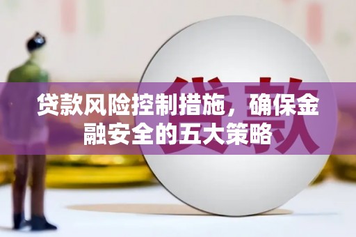 金塘贷款风险控制措施，确保金融安全的五大策略