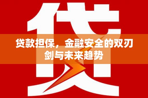 金塘贷款担保，金融安全的双刃剑与未来趋势