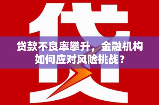 金塘贷款不良率攀升，金融机构如何应对风险挑战？