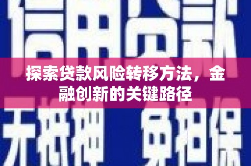 金塘探索贷款风险转移方法，金融创新的关键路径