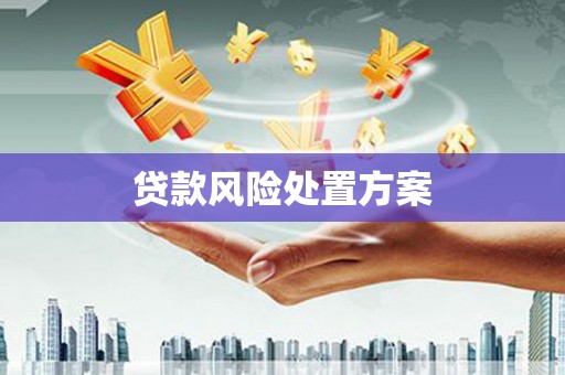 金塘贷款风险处置方案