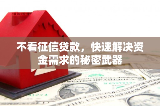 金塘不看征信贷款，快速解决资金需求的秘密武器