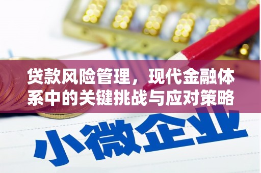 金塘贷款风险管理，现代金融体系中的关键挑战与应对策略