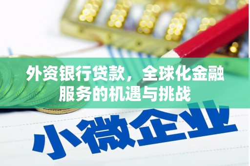 金塘外资银行贷款，全球化金融服务的机遇与挑战