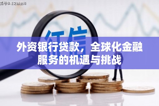 金塘外资银行贷款，全球化金融服务的机遇与挑战
