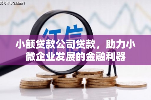 金塘小额贷款公司贷款，助力小微企业发展的金融利器