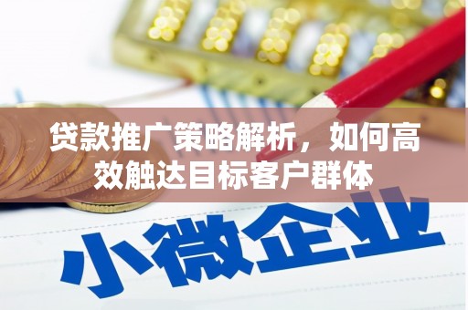 金塘贷款推广策略解析，如何高效触达目标客户群体