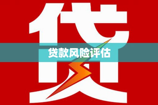 金塘贷款风险评估