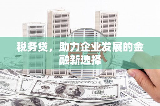 金塘税务贷，助力企业发展的金融新选择
