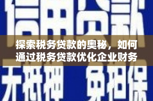金塘探索税务贷款的奥秘，如何通过税务贷款优化企业财务