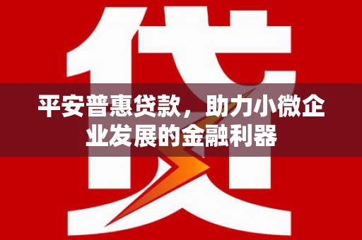 金塘平安普惠贷款，助力小微企业发展的金融利器