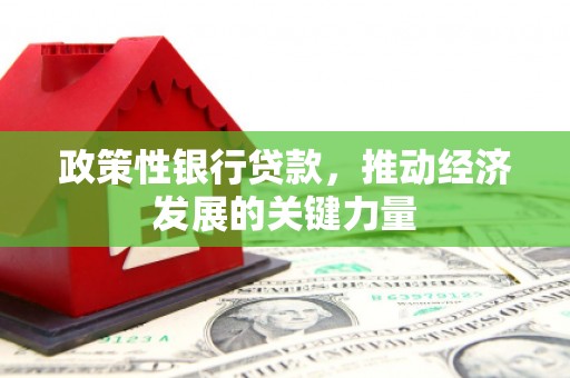 金塘政策性银行贷款，推动经济发展的关键力量