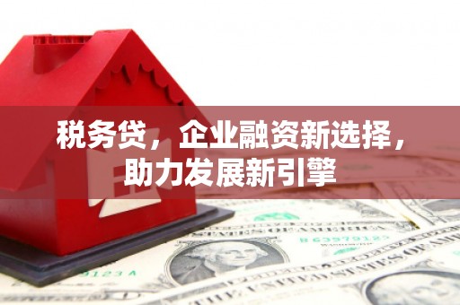 金塘税务贷，企业融资新选择，助力发展新引擎