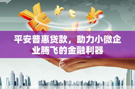 金塘平安普惠贷款，助力小微企业腾飞的金融利器