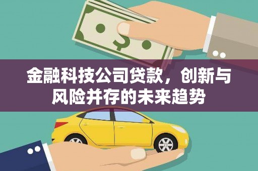 金塘金融科技公司贷款，创新与风险并存的未来趋势