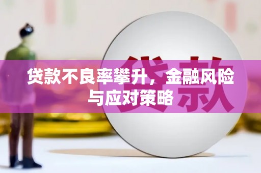 金塘贷款不良率攀升，金融风险与应对策略