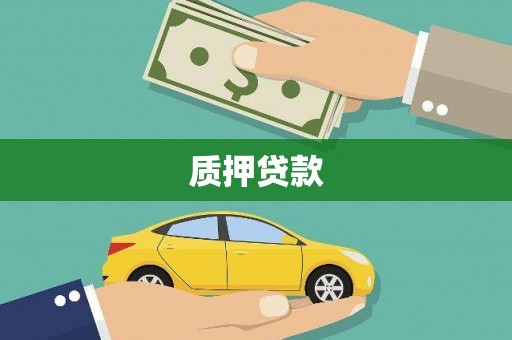 金塘质押贷款