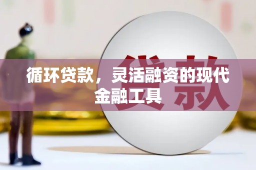 金塘循环贷款，灵活融资的现代金融工具