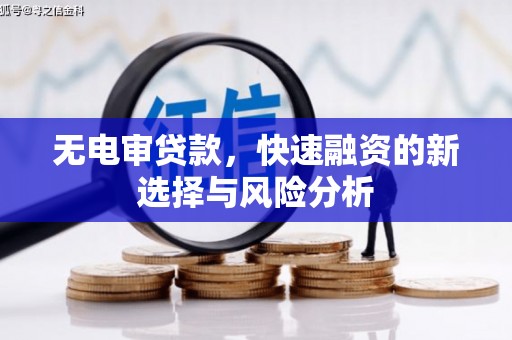 金塘无电审贷款，快速融资的新选择与风险分析