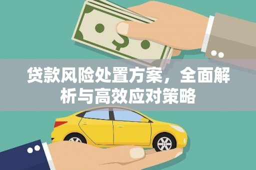 金塘贷款风险处置方案，全面解析与高效应对策略