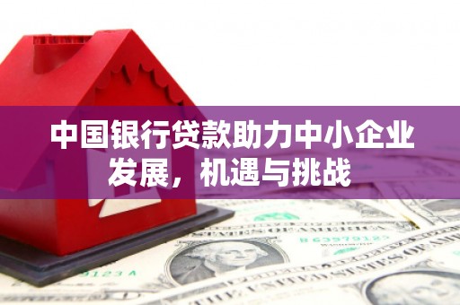 金塘中国银行贷款助力中小企业发展，机遇与挑战