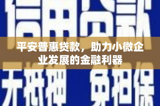金塘平安普惠贷款，助力小微企业发展的金融利器
