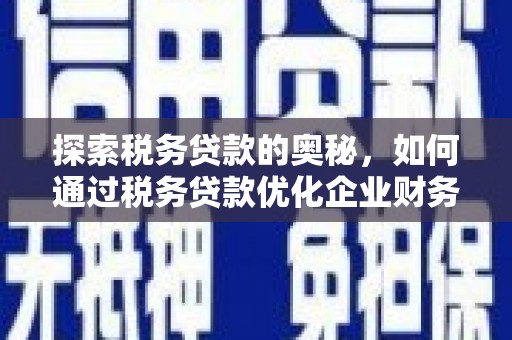 金塘探索税务贷款的奥秘，如何通过税务贷款优化企业财务