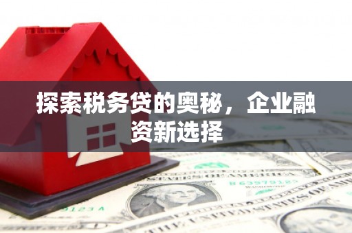 金塘探索税务贷的奥秘，企业融资新选择