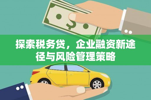 金塘探索税务贷，企业融资新途径与风险管理策略