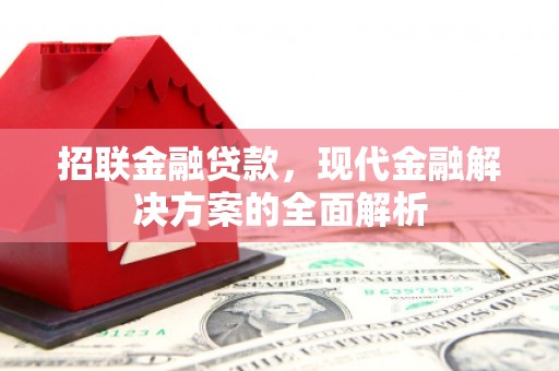 金塘招联金融贷款，现代金融解决方案的全面解析