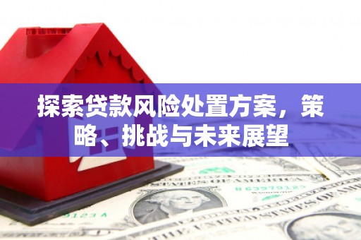 金塘探索贷款风险处置方案，策略、挑战与未来展望