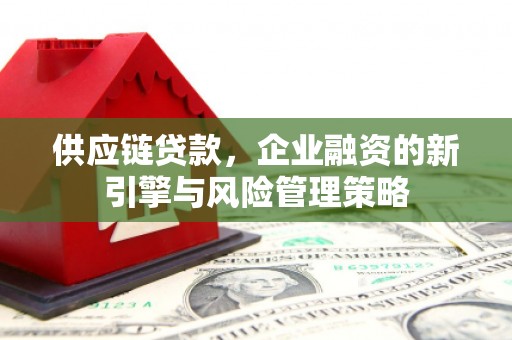金塘供应链贷款，企业融资的新引擎与风险管理策略